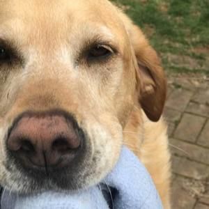 Meet your Posher, Kathleen